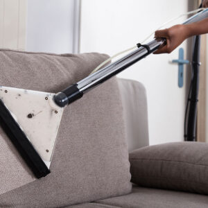 Sofa and Upholstery Cleaning