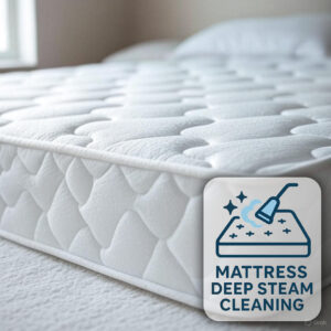 Deep Steam Mattress Cleaning